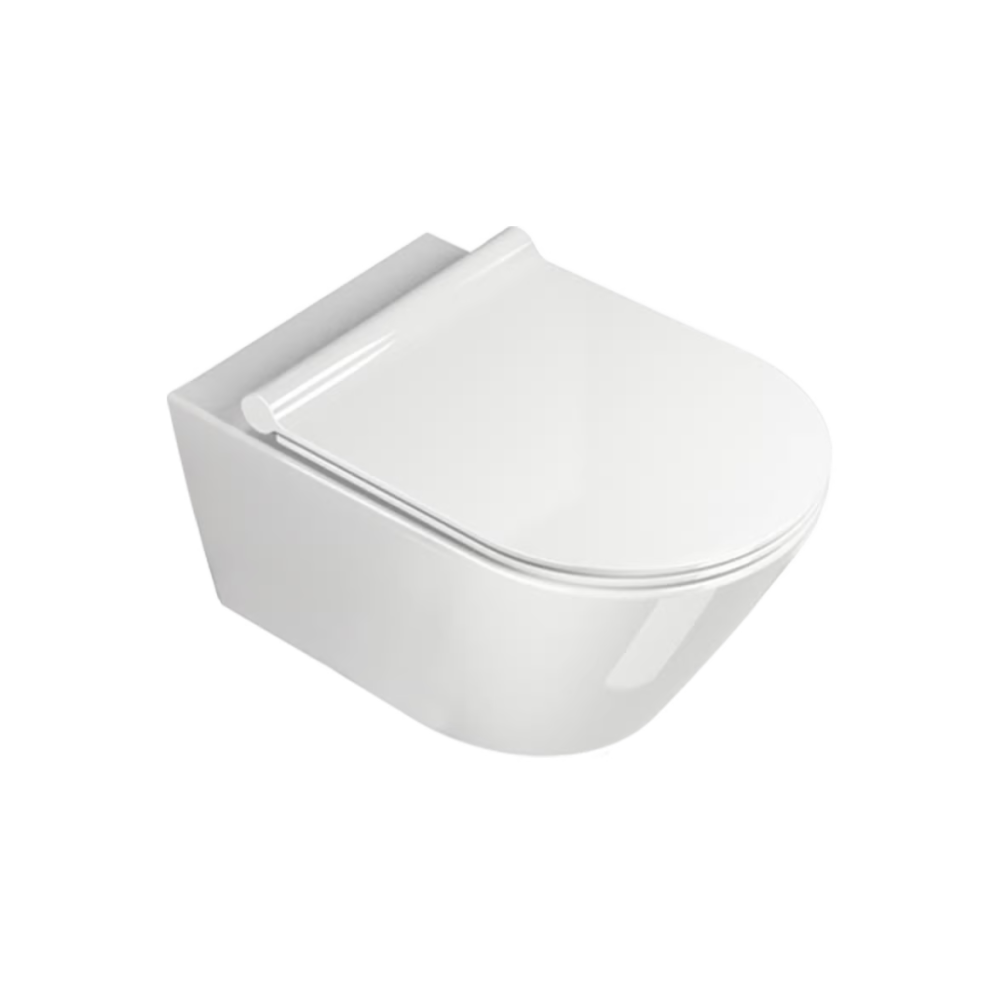 Wc sospeso 55 Newflush Zero