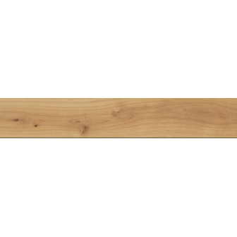 Exence Almond 20x120 Matt Sensitech | Atlas Concorde