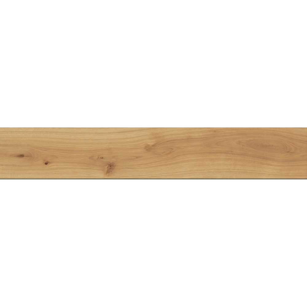 Exence Almond 20x120 Matt Sensitech | Atlas Concorde