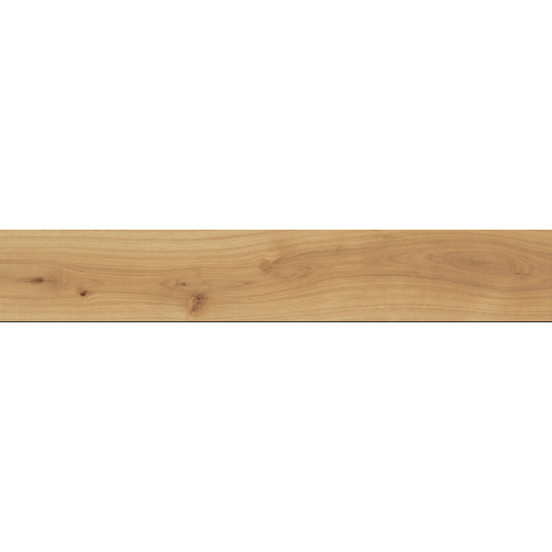 Exence Almond 20x120 Matt Sensitech | Atlas Concorde