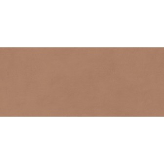 Boost Expression Sienna 50x120 Matt | Atlas Concorde